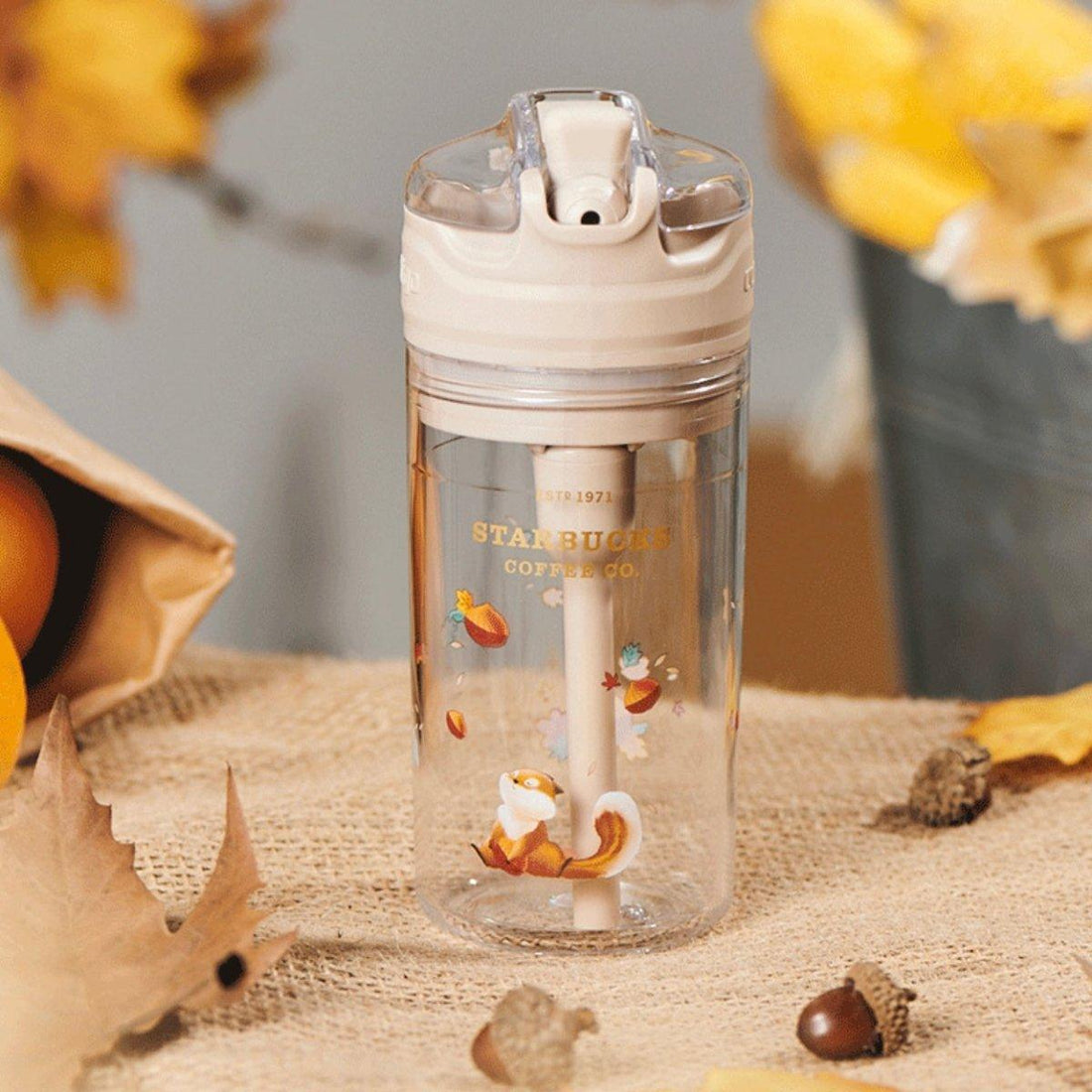 415ml/14oz Classic Squirrel Contigo Plastic Bottle x Snack Box Cup